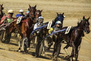 Bruits et Tocards