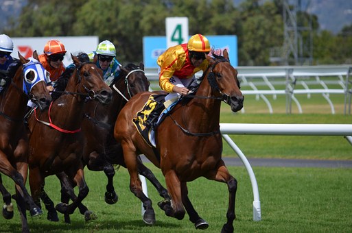 PRIX ALL TO COME MAIDEN PLATE